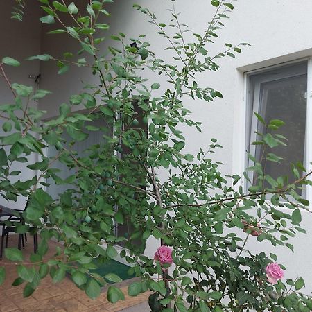 Villa Romelia - Select Apartments Vadu Dış mekan fotoğraf