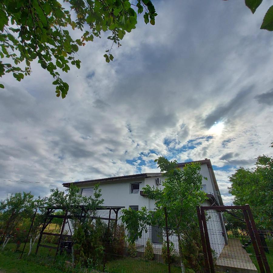 Villa Romelia - Select Apartments Vadu Dış mekan fotoğraf